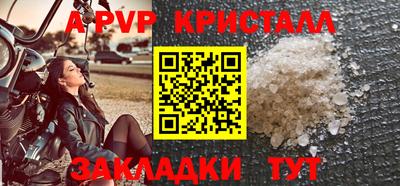 прущие грибы Лесосибирск