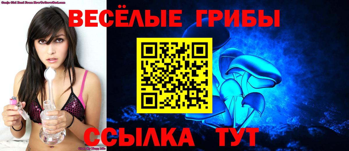 Псилоцибиновые грибы MAGIC MUSHROOMS  Псилоцибиновые грибы Psilocybine cubensis  Троицк  Вход с VPN 